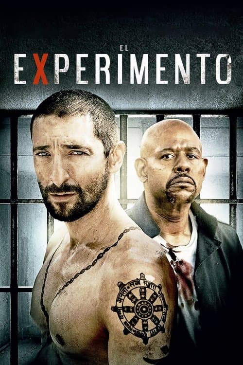 Póster de El experimento