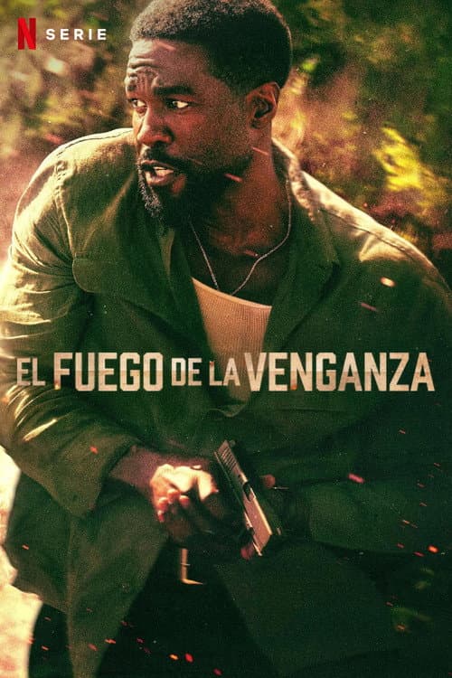 Póster de El fuego de la venganza