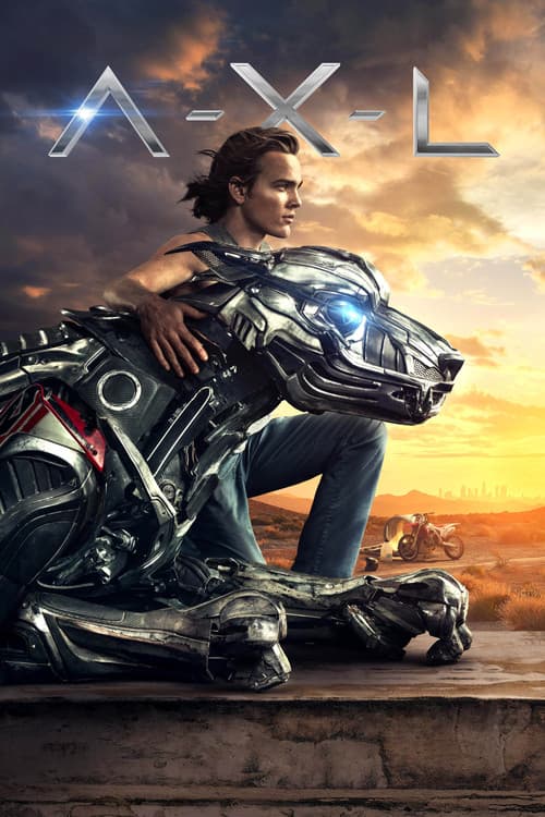 Póster de A.X.L.