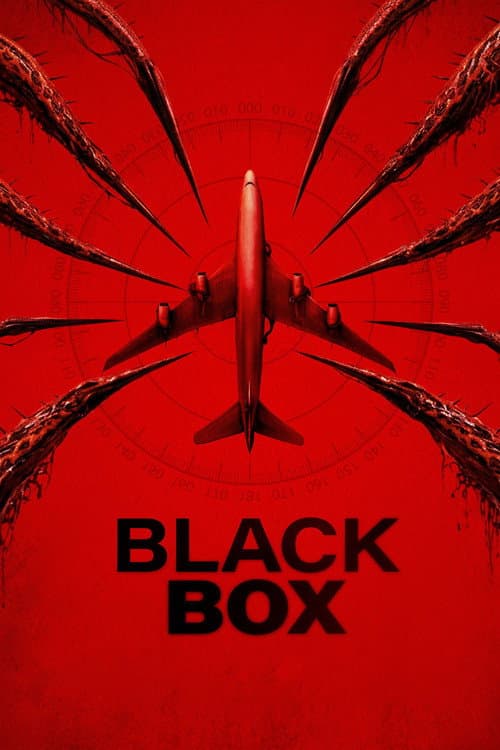 Póster de Black Box: Vuelo 298