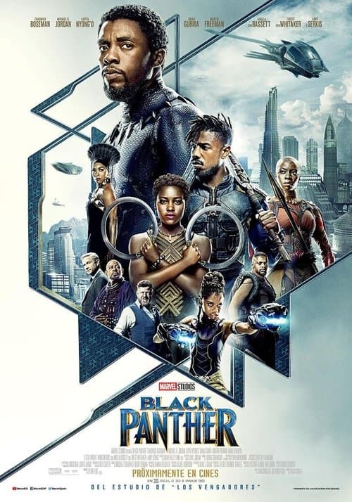 Póster de Black Panther