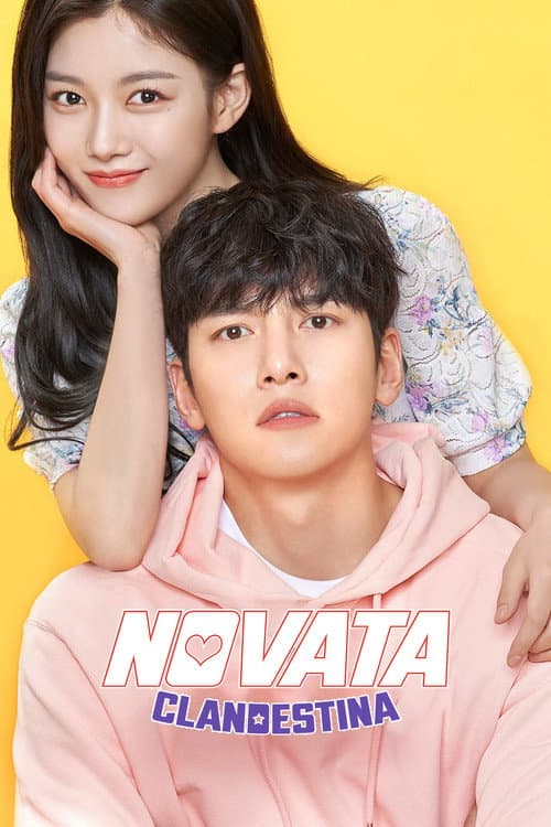 Póster de Novata clandestina