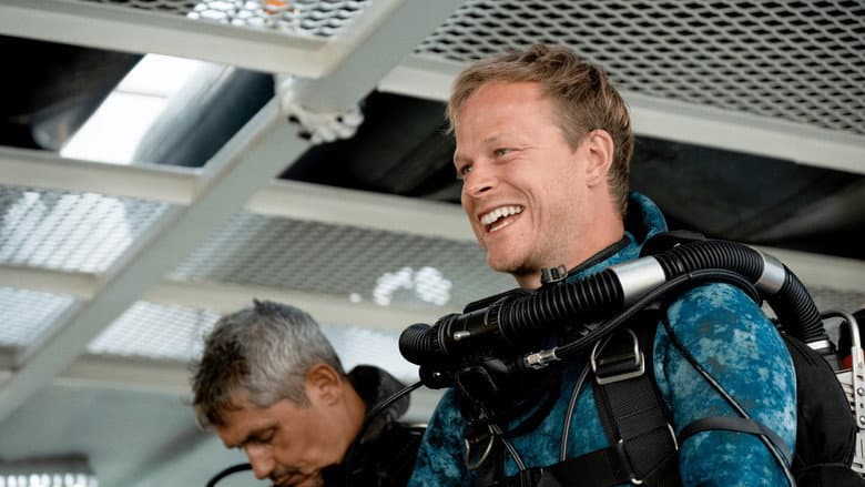 Imagen 7 de galería para Tiburones martillo en primer plano con Bertie Gregory